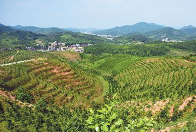 19个电话 解了心结