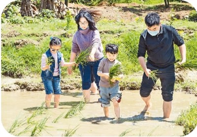 省内游 安全快乐动起来