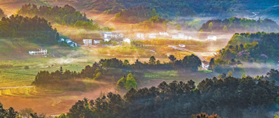 良好生态 护航发展（统筹抓好改革发展稳定各项工作）