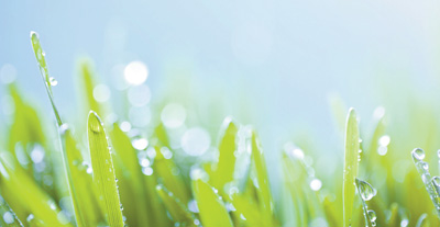 托举生命的希望