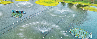 防疫有我 爱卫同行