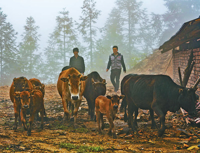 深山苗寨的“暖心书记”（点赞新时代）