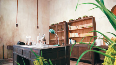 走进隆平水稻博物馆：稻作传万年 稻香飘海外