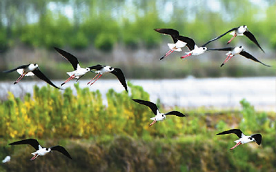 破解扎堆游难题：文明旅游，守护健康