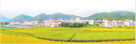 确保完成决战决胜脱贫攻坚目标任务