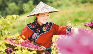 在劳动中诠释奋斗者最可爱的模样