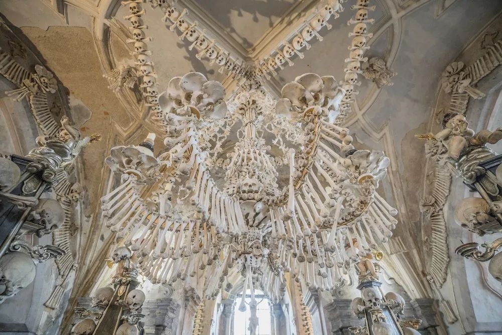 世界大瘟疫启示录丨黑死病：欧洲人的铭心之痛