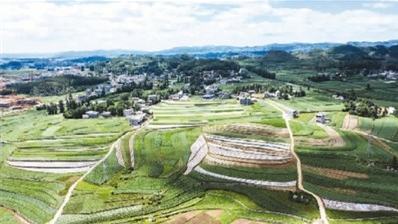 报告文学：忠实记录脱贫攻坚伟业