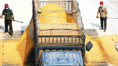 看看国家为你囤了哪些货？