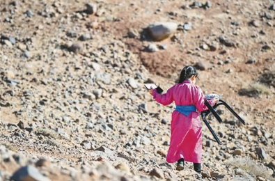 网课热的冷思考