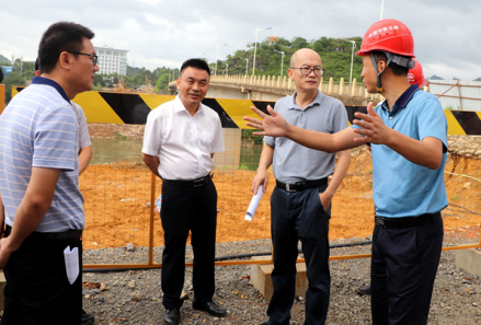 项目经理周会兵(右一)向崇左市副市长陈锋现场汇报工作
