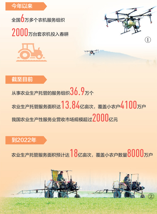 “80后”田保姆种粮记