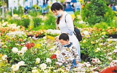 市场活力释放，展现内需潜力