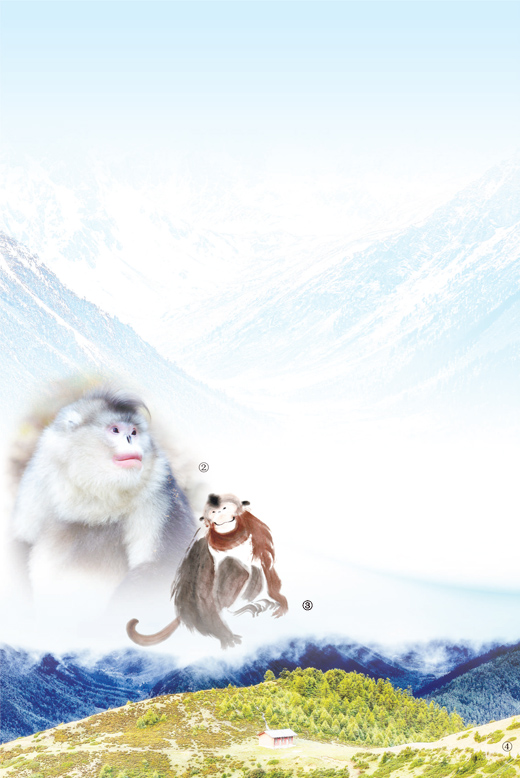 自然保护区救助站滇金丝猴巡护员余文武——守