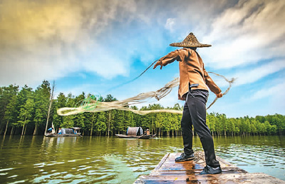 山水湖北 鱼米之乡