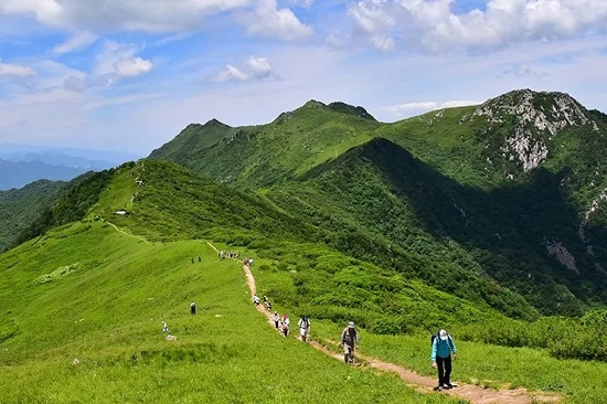 2020终南山秦楚古道景区杜鹃花节活动启动