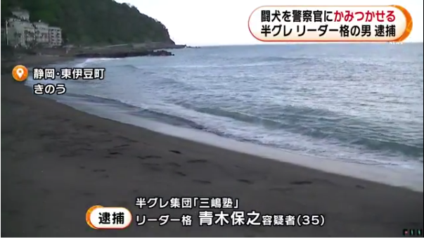 无视禁令！日本黑帮组织30人开烧烤大会 还放狗