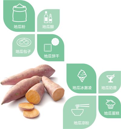 牛马塘村的地瓜经