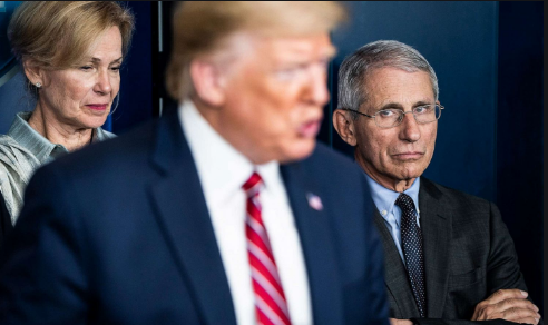 美国新冠肺炎死亡病例数遭质疑 美媒：政府和专