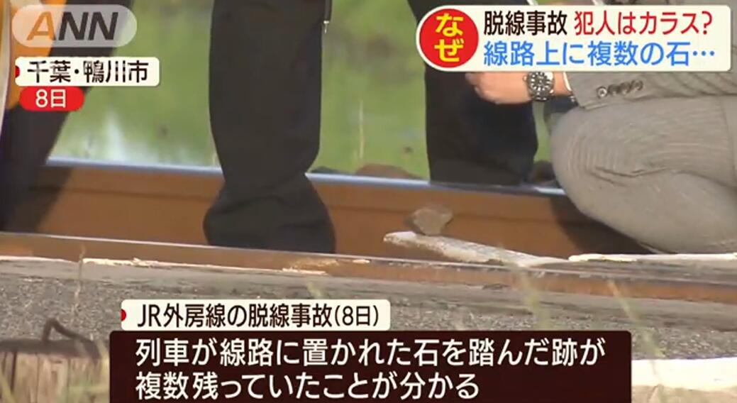 1589506617138964.jpg QQ截图20200515092626.jpg