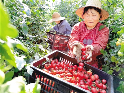 一手抓防疫一手促发展：中国经济持续呈现积极