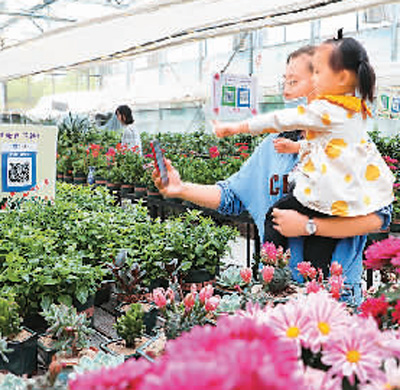 疫情改变了哪些习惯