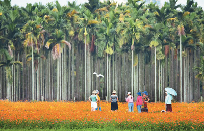 中国的活力与韧性令人敬佩