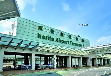 1589764166873922.jpg 1505112564445370.jpg