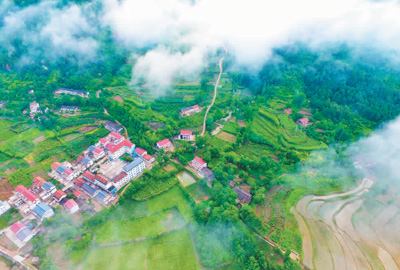 秦岭深处守望者