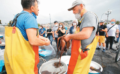 欧洲在“两难”中重启经济