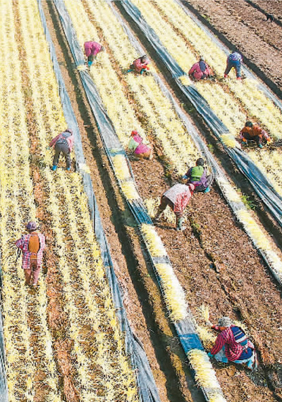 基本民生，坚决保住！