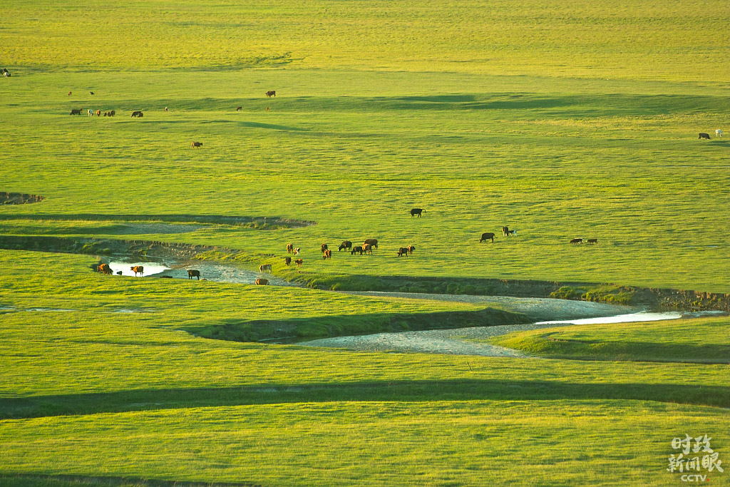 锡林郭勒草原是我国保存较为完好、生物多样性丰富的温带草原，也是我国北方重要的生态安全屏障。盛夏时节，风光旖旎。