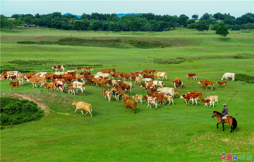 宝博体育- 宝博体育官网- 宝博体育APP下载 BaoBoSports不负援非使命为莫桑比克农牧业发展提供中国方案