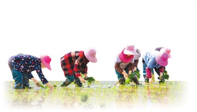 手中有粮，心中不慌（决胜时刻）