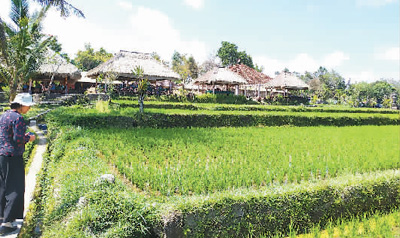 灌溉工程遗产：用好金字招牌