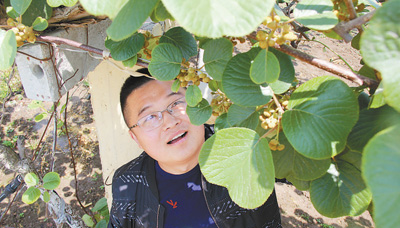 我家有个合作社