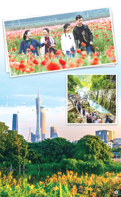 绿水青山引来八方宾客