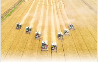 今年全国粮食产量预计达6.7亿吨