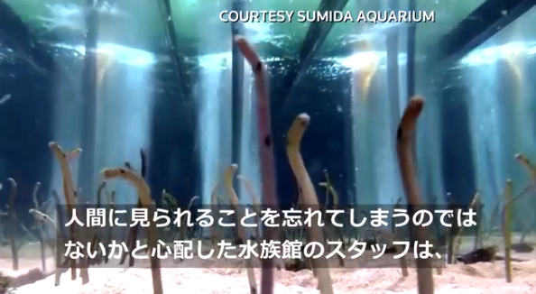 1591232871570004.png 20200604090431.png