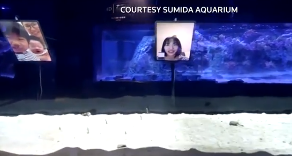 1591232968821474.png 20200604090507.png