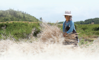 维护群众利益 推进依法治理