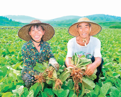 防控疫情，中医药发挥了重要作用——访河南省