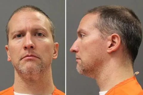 【海外网深一度】弗洛伊德案的“罪”与“罚”