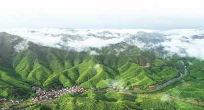 【生态治理的中国奇迹①】瞧，咱这绿意盎然的