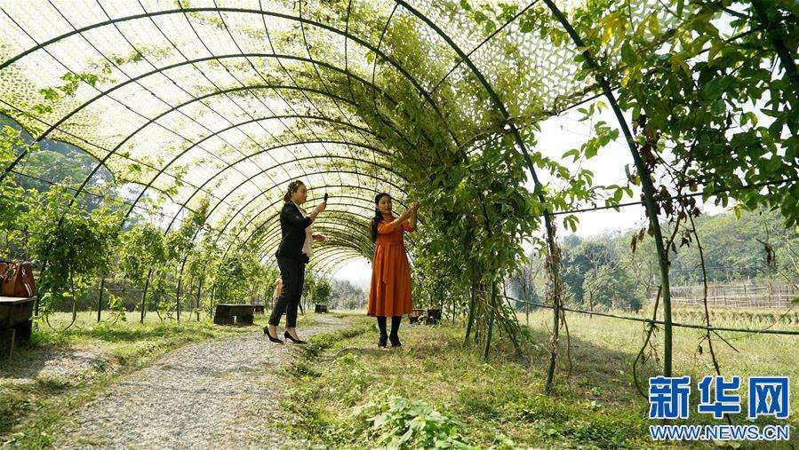 海外网评：端起生态碗，拓宽扶贫路