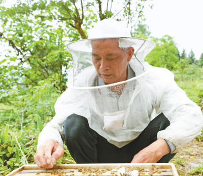 六十五岁开始的甜蜜梦想