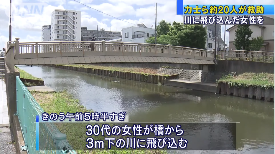 1591857964313542.png 1591857964313542.png