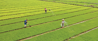 长期向好态势未变！中国经济下半年将会反弹