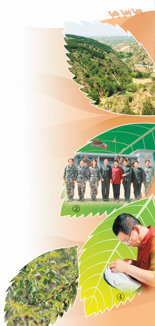 “绿进沙退”看榆林