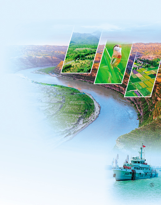 促进自然生态系统治理体系和治理能力现代化